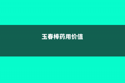 玉春棒的养殖方法 (玉春棒药用价值)