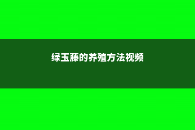 绿玉藤的养殖方法 (绿玉藤的养殖方法视频)