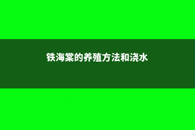 铁海棠的养殖方法 (铁海棠的养殖方法和浇水)