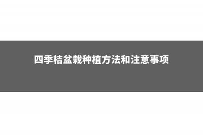 四季橘的养殖方法 (四季桔盆栽种植方法和注意事项)