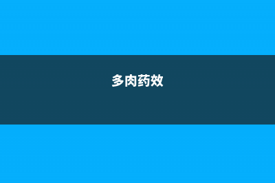 这些多肉全是药锦，买回家必死无疑，白给你都别要！ (多肉药效)