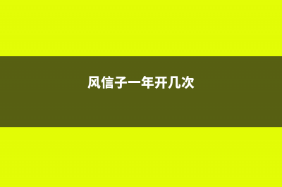 风信子一年开几次花 (风信子一年开几次)