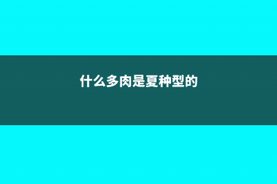 这6种多肉，夏天必须养一盆，清热解暑凉飕飕！ (什么多肉是夏种型的)