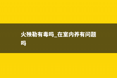 火殃勒的养殖方法 (火殃勒有毒吗 在室内养有问题吗)