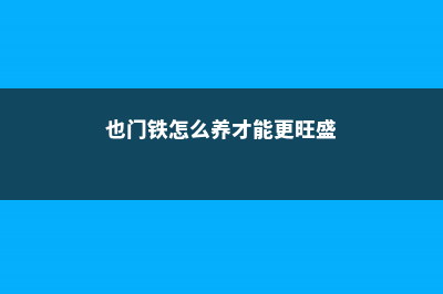 也门铁的养殖方法和注意事项 (也门铁怎么养才能更旺盛)