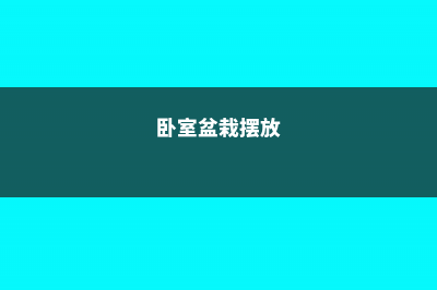 客厅卧室放盆它，开运又健康，蚊虫全没啦！ (卧室盆栽摆放)