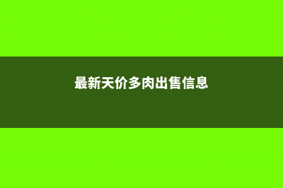 最新天价多肉出炉，1盆价值百万！ (最新天价多肉出售信息)