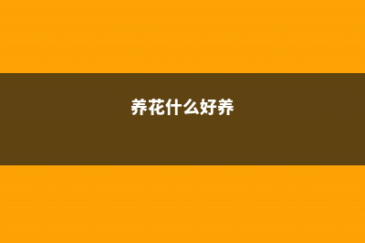 这10种花，咋养都不死，再养死你找我！ (养花什么好养)