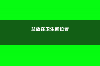 卫生间里放盆它，异味全没了，还能蹭蹭长不停！ (盆放在卫生间位置)