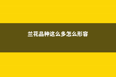 兰花品种这么多，你却只养过1种？简直亏大了！ (兰花品种这么多怎么形容)