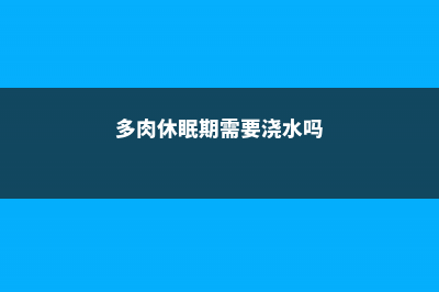 急！多肉休眠期到了，再不管活不过3天！ (多肉休眠期需要浇水吗)