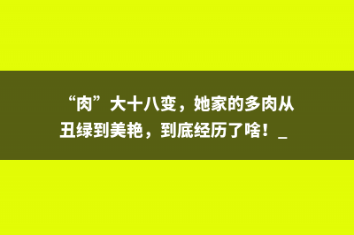 “肉”大十八变，她家的多肉从丑绿到美艳，到底经历了啥！ 