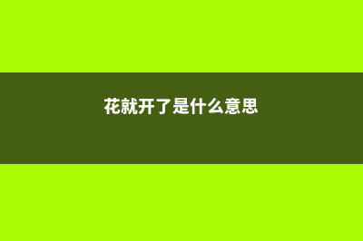 这花一开就爆成球，丢土里就活，想养死都难！ (花就开了是什么意思)