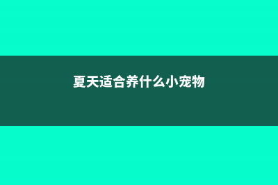 夏天就养这6种花，1个月就爬墙，连窗帘都省了！ (夏天适合养什么小宠物)