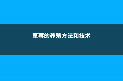 草莓的养殖方法和注意事项 (草莓的养殖方法和技术)