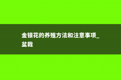 金银花的养殖方法和注意事项 (金银花的养殖方法和注意事项 盆栽)