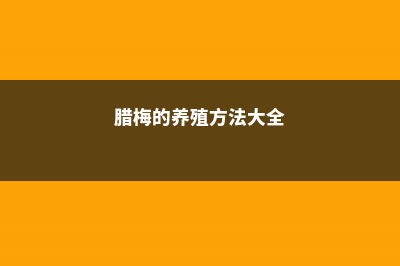 腊梅的养殖方法和注意事项 (腊梅的养殖方法大全)