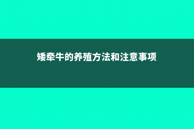 矮牵牛的养殖方法和注意事项 (矮牵牛的养殖方法和注意事项)