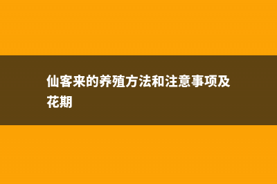 仙客来的养殖方法和注意事项 (仙客来的养殖方法和注意事项及花期)