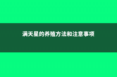 满天星怎么养 (满天星的养殖方法和注意事项)