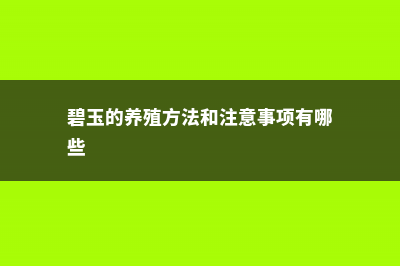 碧玉的养殖方法和注意事项 (碧玉的养殖方法和注意事项有哪些)