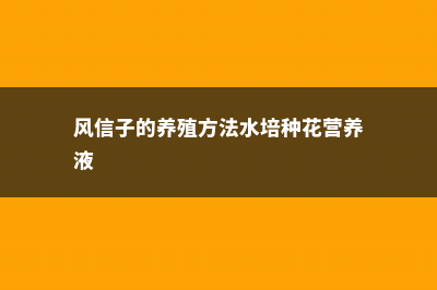 风信子的养殖方法和注意事项 (风信子的养殖方法水培种花营养液)