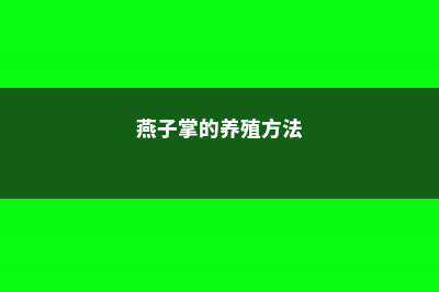 燕子掌的养殖方法和注意事项 (燕子掌的养殖方法)