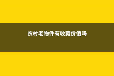 农村老物件拿来养花，美成一幅画，城里人都要羡慕死了！ (农村老物件有收藏价值吗)