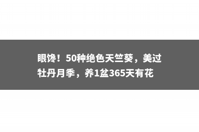 眼馋！50种绝色天竺葵，美过牡丹月季，养1盆365天有花看！ 