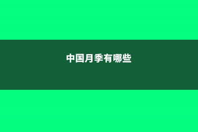 中国这17种月季，花大饱满，比欧月好看多了！ (中国月季有哪些)