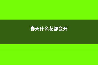 春天啥花都可以不养，唯独这6种，不养亏大了！ (春天什么花都会开)