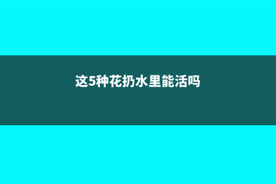 这5种花扔水里，10天长出大白根，叶子肥的能滴油！ (这5种花扔水里能活吗)