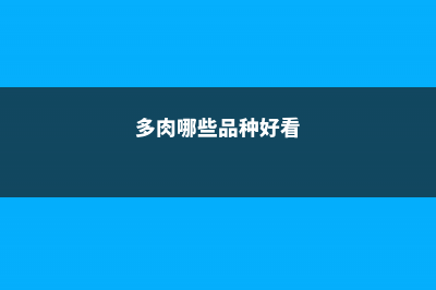 这10种多肉，越晒越香，闻1次能记1辈子！ (多肉哪些品种好看)