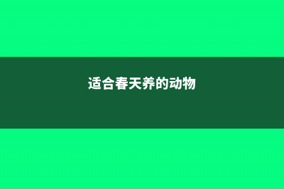 春天就养这18种多肉，财运福运桃花运···好运爆棚！ (适合春天养的动物)