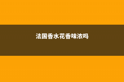 这花比法国香水还好闻，一闻就上瘾，家里满满香味儿！ (法国香水花香味浓吗)