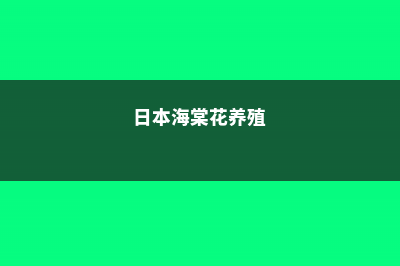 日本海棠的养殖方法和注意事项 (日本海棠花养殖)