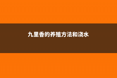 九里香的养殖方法和注意事项 (九里香的养殖方法和浇水)