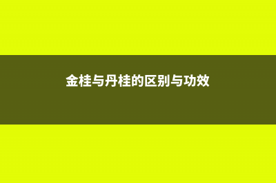 金桂与丹桂的区别 (金桂与丹桂的区别与功效)