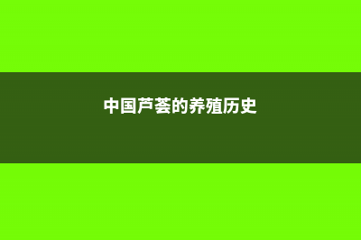 中国芦荟的养殖方法和注意事项 (中国芦荟的养殖历史)