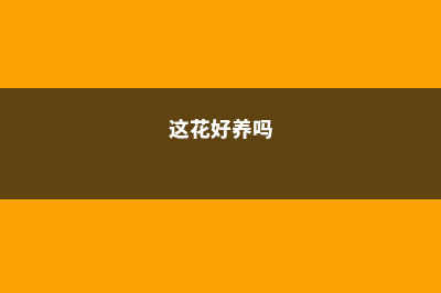 这花好看又好养，春天必须来一盆，否则亏大了！ (这花好养吗)