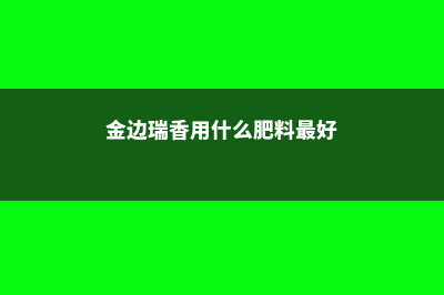 金边瑞香用什么土种 (金边瑞香用什么肥料最好)