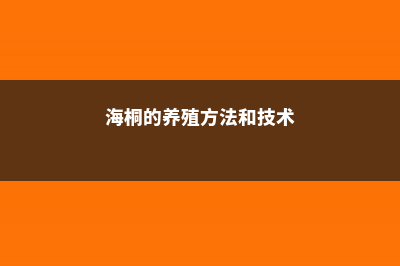 海桐的养殖方法和注意事项 (海桐的养殖方法和技术)