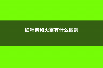 红叶祭和火祭的区别 (红叶祭和火祭有什么区别)