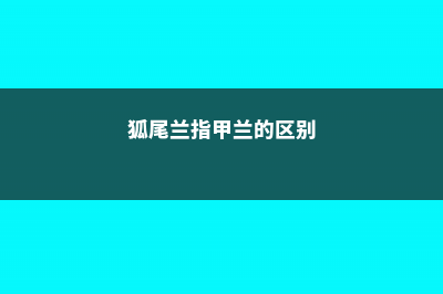 狐尾兰和指甲兰的区别 (狐尾兰指甲兰的区别)