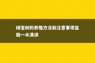 绿宝树的养殖方法和注意事项 (绿宝树的养殖方法和注意事项盆栽一木演讲)