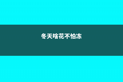 冬天啥花可以不养，唯独这6种，不养亏大了！ (冬天啥花不怕冻)