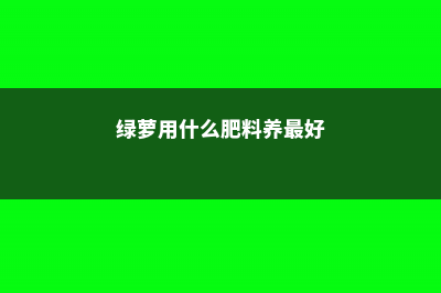 绿萝用什么肥料长得快 (绿萝用什么肥料养最好)