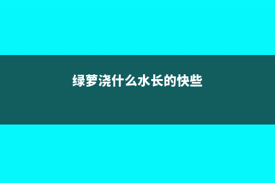 绿萝浇什么水长得快 (绿萝浇什么水长的快些)