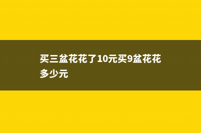 这花10块钱买3盆，能开一冬天，想养死都难！ (买三盆花花了10元买9盆花花多少元)