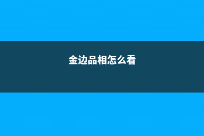 别人家的金边六月雪都美爆了，你还不会养？赶紧来取经！ (金边品相怎么看)